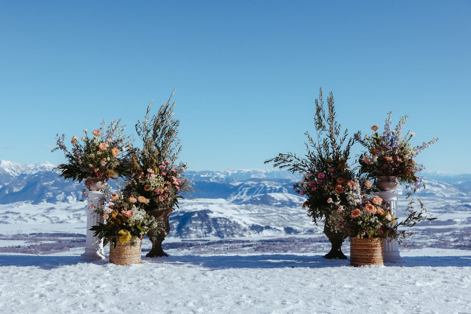 Wild Rose Weddings and Events photo